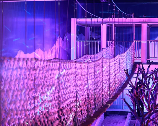 Snow Bridge